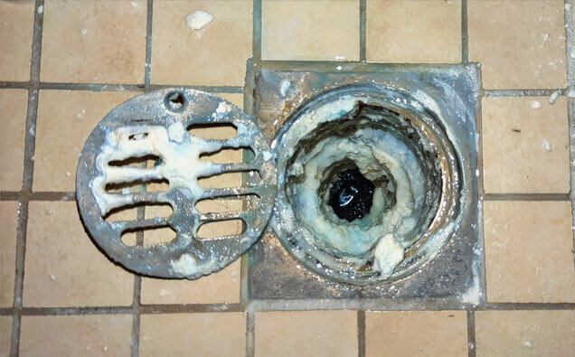 https://blockeddrainsforrestfield.com.au/uploads/2025/07/blocked-shower-drains-33151.jpg