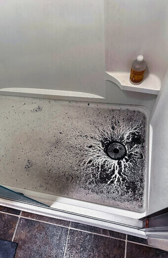 https://blockeddrainsforrestfield.com.au/uploads/2025/07/blocked-shower-drains-83587.jpg