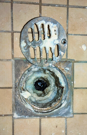 https://blockeddrainsforrestfield.com.au/uploads/2025/07/blocked-shower-drains-86331.jpg