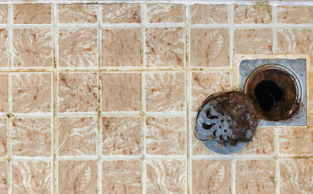https://blockeddrainsforrestfield.com.au/uploads/2025/07/blocked-shower-drains-91576.jpg