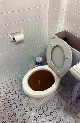 https://blockeddrainsforrestfield.com.au/uploads/2025/07/blocked-toilet-42230.jpg